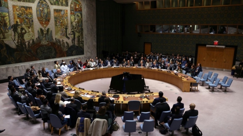 UN-Sicherheitsrat nimmt Resolution zu Trumps Gaza-Friedensplan an