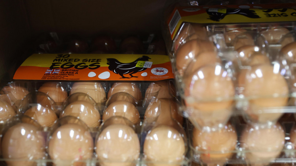Gb, catena di supermercati Sainsbury's non vender&agrave; pi&ugrave; uova dal guscio marrone