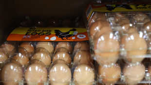 Gb, catena di supermercati Sainsbury's non vender&agrave; pi&ugrave; uova dal guscio marrone