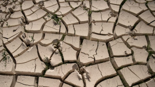 Espagne: avec la d&eacute;sertification, l'inqui&eacute;tante progression des terres "sans vie"