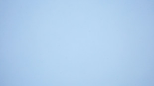 Temporal de nieve provoca la cancelaci&oacute;n de cientos de vuelos en Pa&iacute;ses Bajos y Francia