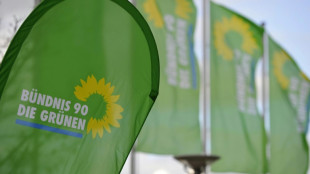 Gr&uuml;ne kommen zu viert&auml;gigem Parteitag in Karlsruhe zusammen