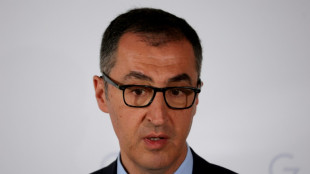 &Ouml;zdemir h&auml;lt Trend zu Holzpellet-Heizungen f&uuml;r problematisch