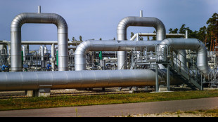 Il prezzo del gas apre in calo a 33,04 euro