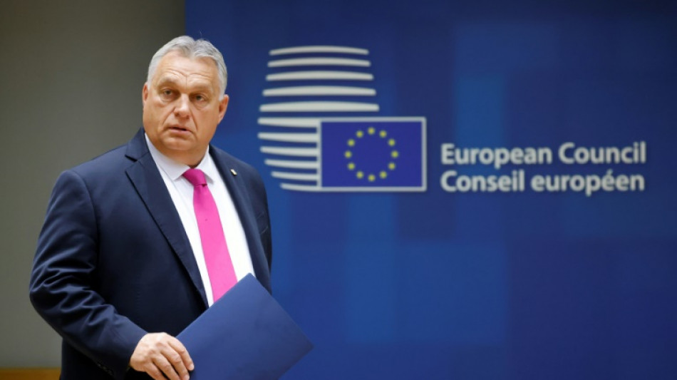 Hungr&iacute;a lanza una nueva consulta nacional anti-UE 