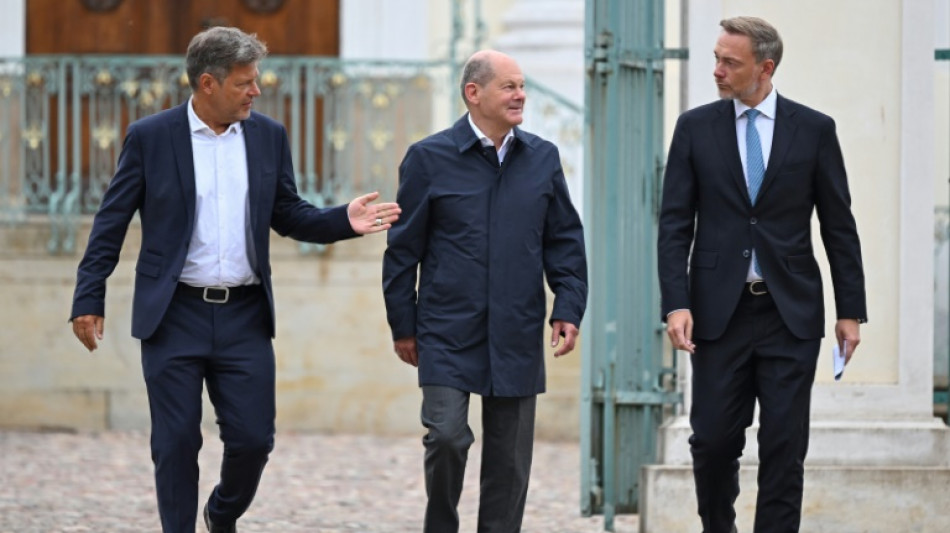 Germany bets on tax cuts to boost ailing economy