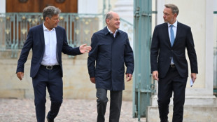 Germany bets on tax cuts to boost ailing economy