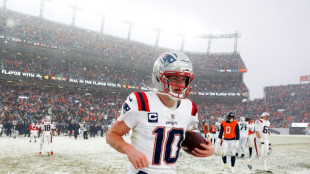 Patriots reach Super Bowl in blizzard-hit 10-7 win over Broncos