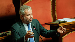 Borghi (Lega), non voter&ograve; nuova autorizzazione armi a Kiev