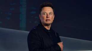 Musk sorgt mit Verbreitung von Verschw&ouml;rungstheorie f&uuml;r Wirbel