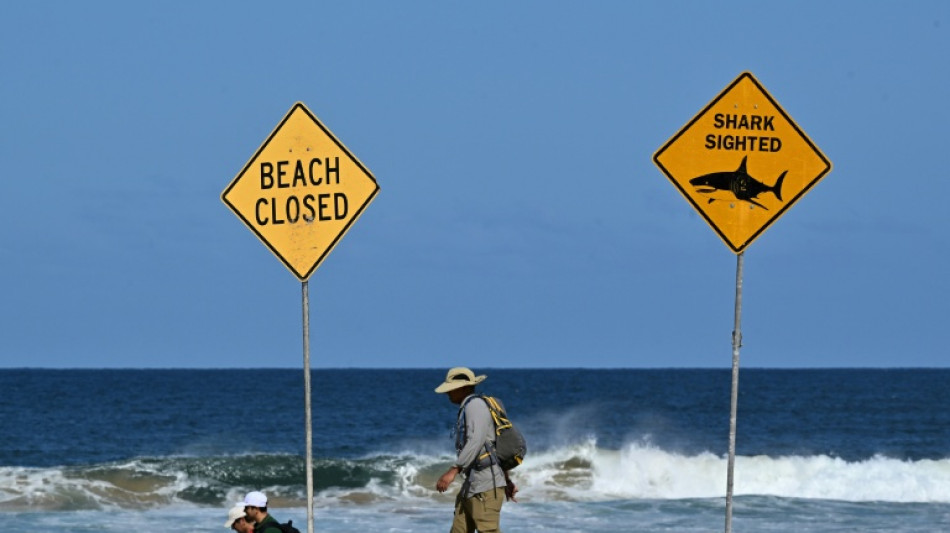 Mulher morre e homem fica ferido em ataque de tubar&atilde;o na Austr&aacute;lia