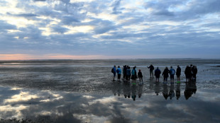 Hubschraubereinsatz: Drei Wanderinnen aus Watt vor St. Peter Ording gerettet
