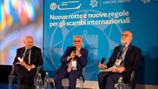 Assocamerestero, contesto complesso ma ancora favorevole a export italiano