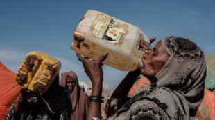 L'ONU s'inqui&egrave;te du manque de fonds pour r&eacute;pondre &agrave; la s&eacute;cheresse en Somalie