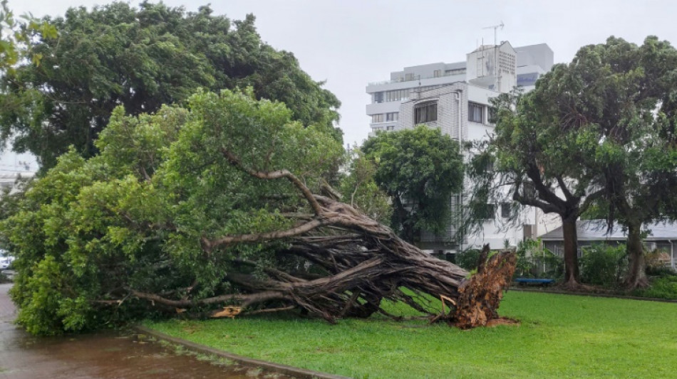 Japon: un mort et 200.000 foyers toujours sans &eacute;lectricit&eacute; au passage d'un typhon &agrave; Okinawa