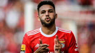 Foot: l'attaquant portugais Gon&ccedil;alo Ramos s'engage avec le PSG