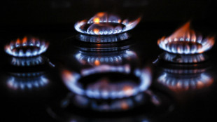 Arera, a settembre bolletta gas vulnerabili -0,8%