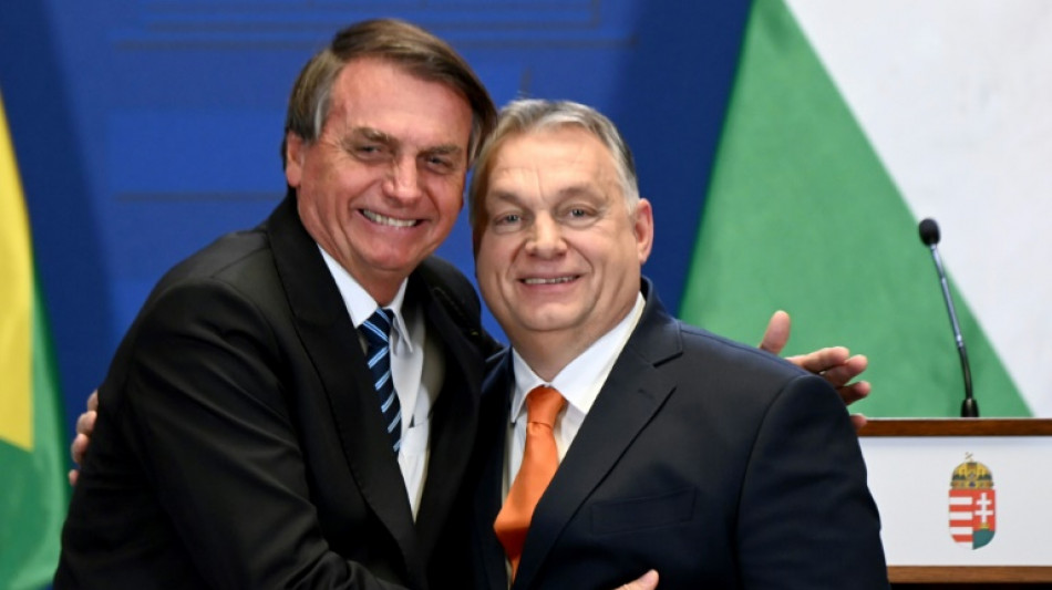 Facing probe, Bolsonaro spent two nights at Hungarian embassy