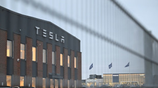 "Irre": Musk &auml;u&szlig;ert sich zu Folgen des Streiks gegen Tesla in Schweden