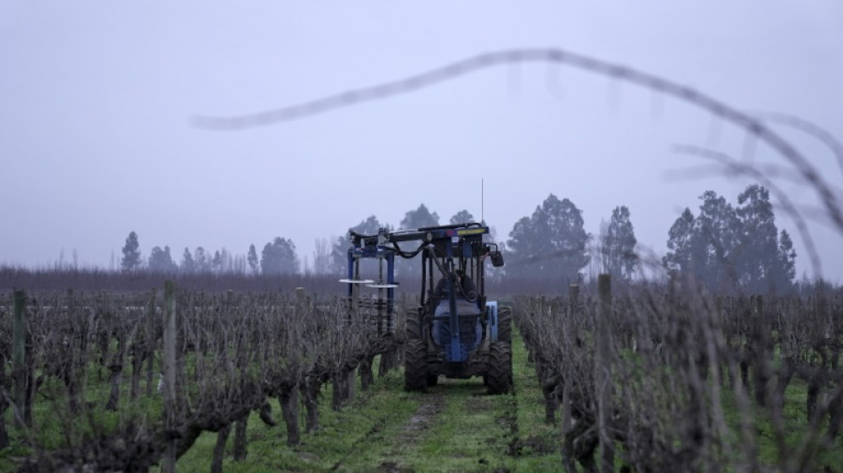 Econom&iacute;a de Chile crece 0,2% en 2023, deprimida por ca&iacute;da del comercio