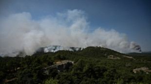 Greece blaze is 'largest wildfire ever recorded in EU'