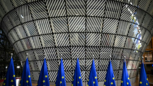 L'UE cherche un difficile équilibre entre compétitivité et ambitions climatiques
