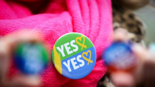 R&eacute;f&eacute;rendum en Irlande: cl&ocirc;ture du vote pour moderniser la Constitution sur les femmes et la famille