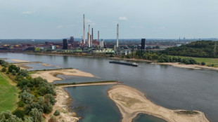 Niedrigwasser: Bilger erw&auml;gt Aufhebung von Sonn- und Feiertagsfahrverbot f&uuml;r Lkw