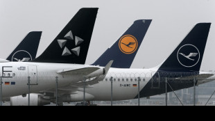 Lufthansa erwartet "Rekordsommer" - Air France-KLM ebenfalls