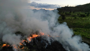 ¿Quién prende fuego a la Amazonía?