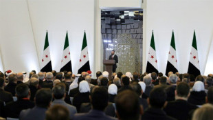 Le président syrien promet que l'Etat aura le "monopole" des armes