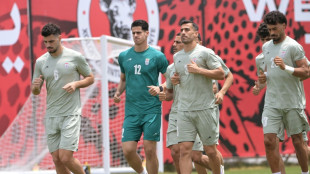 Sele&ccedil;&atilde;o do Ir&atilde; faz seu primeiro treino aberto &agrave; imprensa