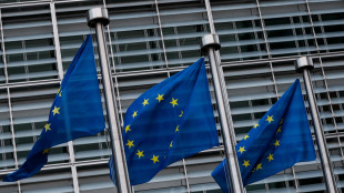 Leonardo si aggiudica 15 progetti sui 57 selezionati dall'European Defence Fund 2025