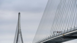 Postergan indefinidamente la apertura de un nuevo puente entre Canad&aacute; y EEUU