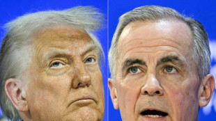 US doesn't dictate terms of trade talks: Carney