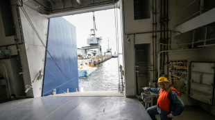 Le Japon tue un rorqual commun à des fins commerciales, première en un demi-siècle