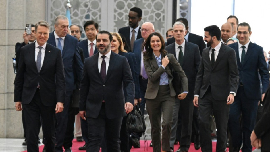 Consejo de Seguridad de la ONU afirma estar dispuesto a apoyar a Siria durante visita