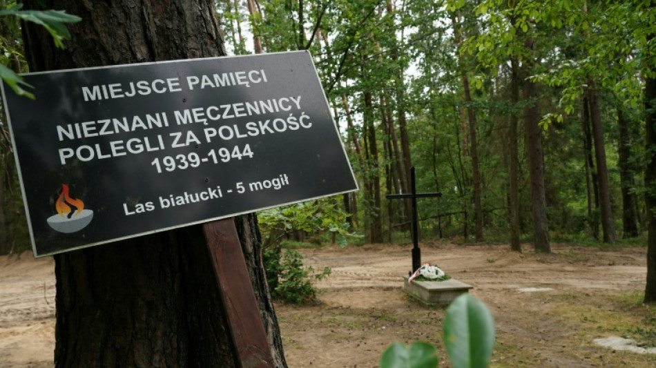Asche von 8000 Nazi-Opfern in Nordpolen entdeckt
