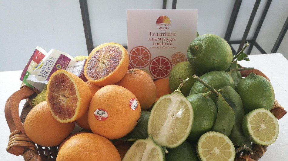 Export ortofrutta +7,6% nel primo trimestre, agrumi ko per ciclone Harry