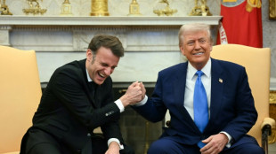 Trump verkündet während Macron-Besuch Wirtschaftsgespräche mit Putin
