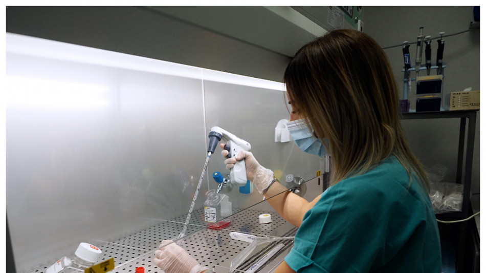 Cambiate le 'batterie' delle cellule contro l'invecchiamento