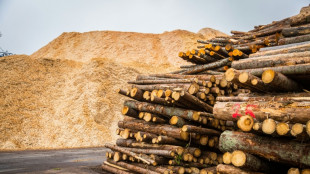 Studie: Reststoffe aus Ackerbau und Holzwirtschaft k&ouml;nnen gro&szlig;en Kimabeitrag leisten