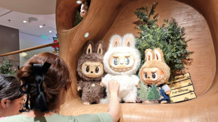 Chine: la police démantèle un groupe criminel vendant des peluches Labubu contrefaites