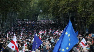 G&eacute;orgie: le pouvoir menace l'opposition apr&egrave;s les manifestations &eacute;lectorales