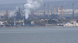 Ex Ilva, Cassazione respinge ricorso sull'Altoforno 1, restano i sigilli
