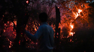 Argentina, dichiarata l'emergenza incendi in Patagonia
