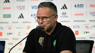 'Ningu&eacute;m tem medo', diz t&eacute;cnico do Marrocos antes da estreia na Copa contra o Brasil