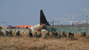 Corea del Sur lanza una inspecci&oacute;n de sus Boeing 737-800 tras la peor cat&aacute;strofe a&eacute;rea de su historia