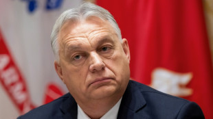 Ungarns Ministerpr&auml;sident Orban sieht Ukraine nach Kriegsende als "Pufferstaat"