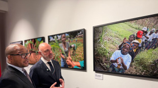Inaugurata a Maputo la mostra fotografica 'Humus' di Marco Palombi